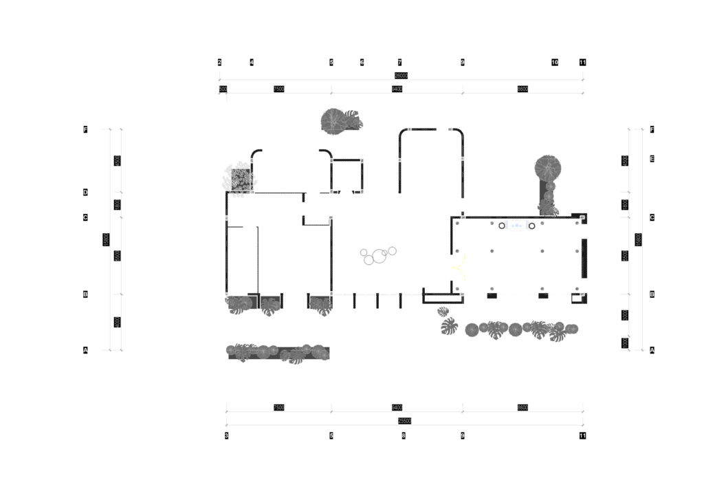 TK_2411_MR PHONG BA VÌ_SBMB-LẦN 3-3